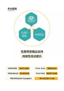 当艾扬格瑜伽遇上互联网 Yogasala联盟开启智能修行新时代