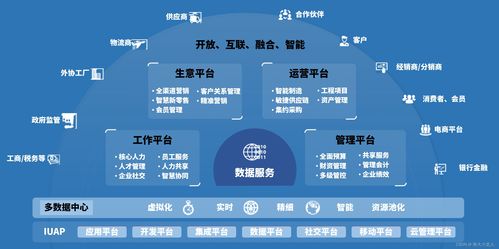 企业级BI应用与实践 用友ERP NC系列产品在“互联网+”中的服务化探索